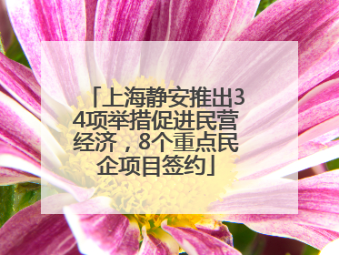 上海静安推出34项举措促进民营经济，8个重点民企项目签约